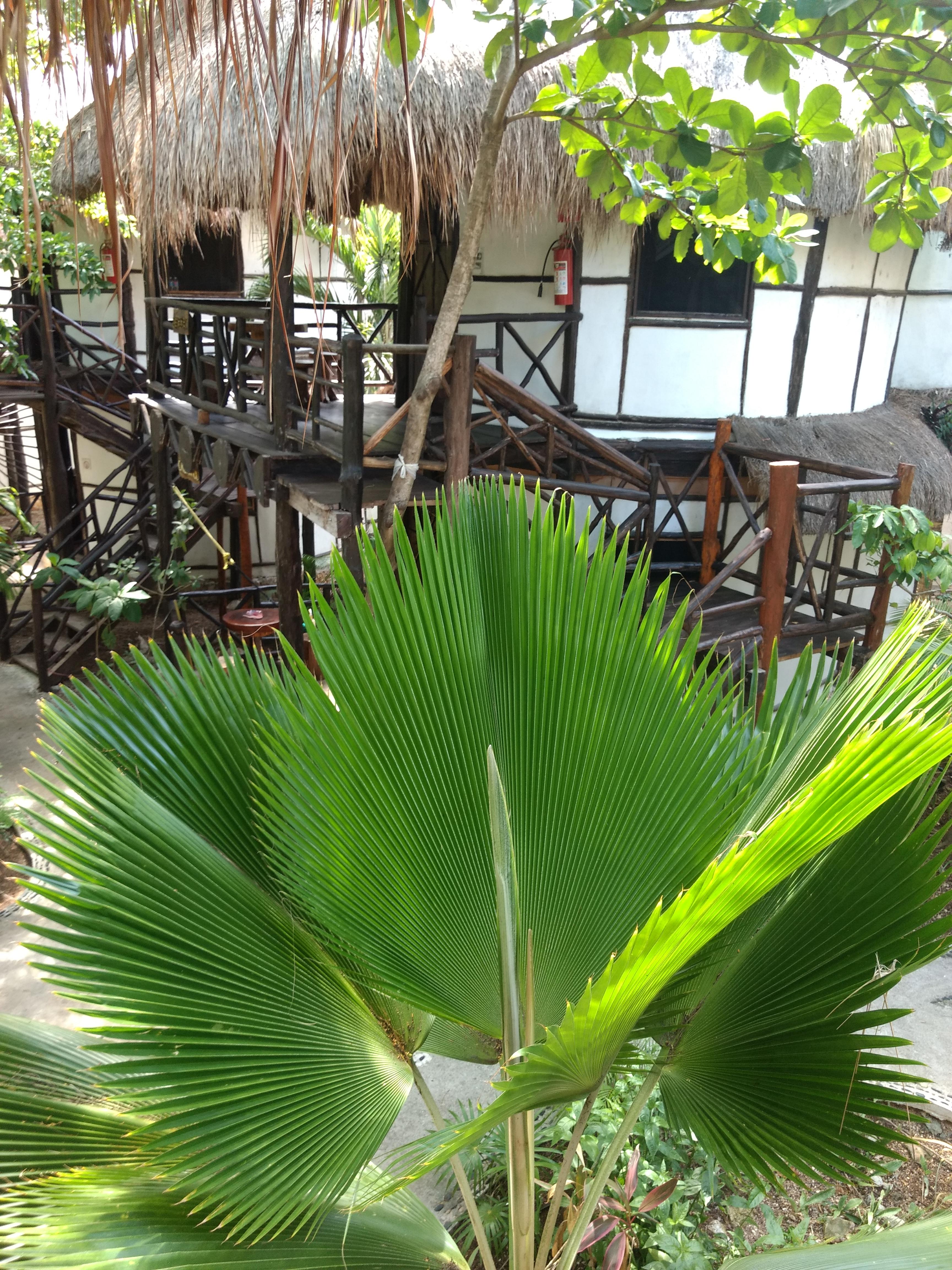Green Tulum Cabanas & Gardens 외부 사진